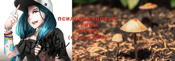 тгк Богданович
