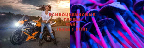 тгк Богданович