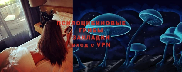 экстази Богородицк