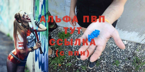 тгк Богданович