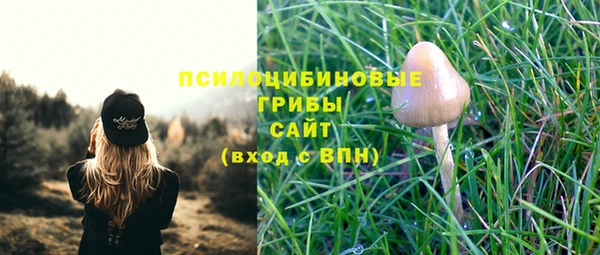 соль ск Богородск