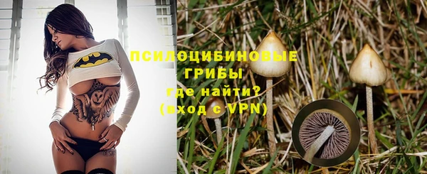 тгк Богданович