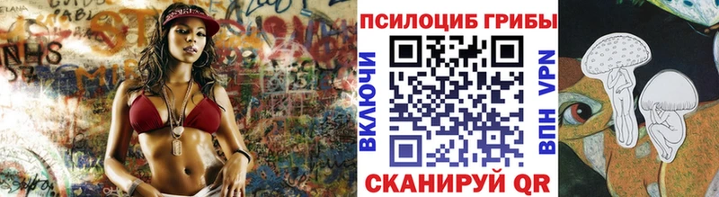 Псилоцибиновые грибы мухоморы  где купить наркотик  Костомукша 